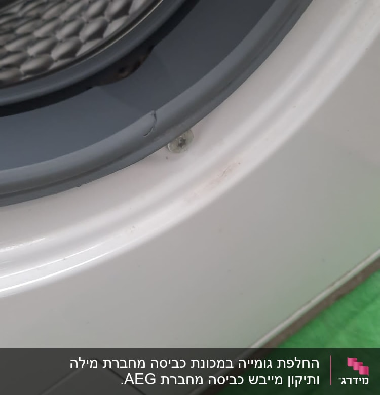 תוף מכונת כביסה עם דלת פתוחה